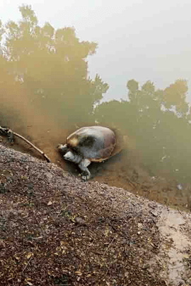 Biological Excursion Trip Purpose