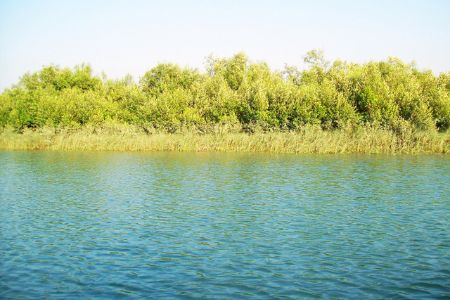 Sundarban Nature Tour