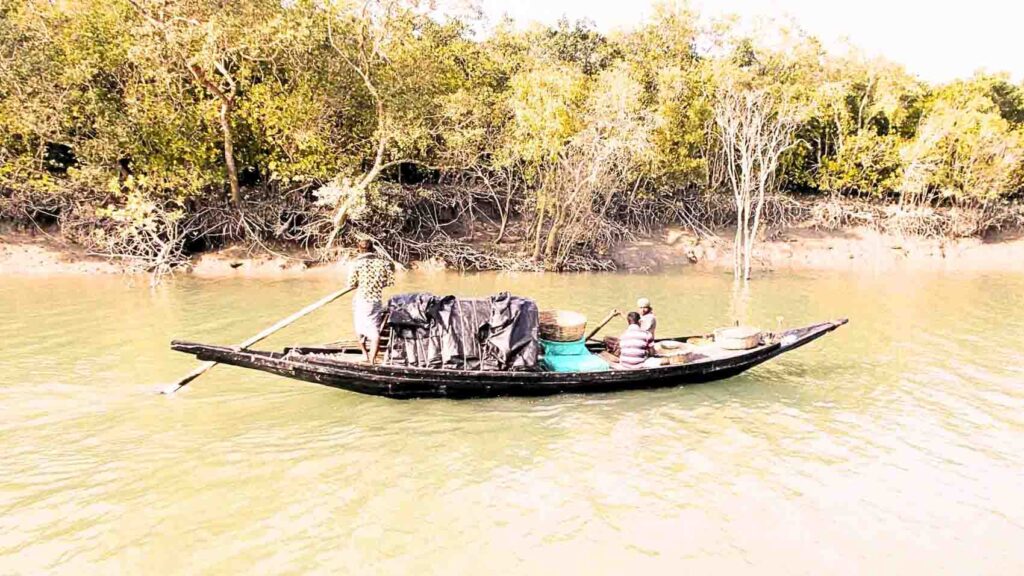 Sundarban Rural Life image