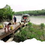 River view during Hilsa Festival Sundarban tour