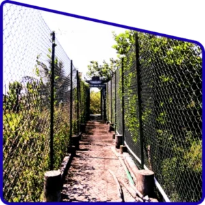 Sundarban Package exploring dense mangrove forest landscape