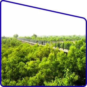 Dobanki canopy walk during Sundarban Package Tour