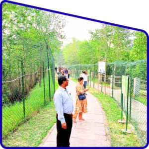 Sundarban Package Tour boat sailing through forest channel