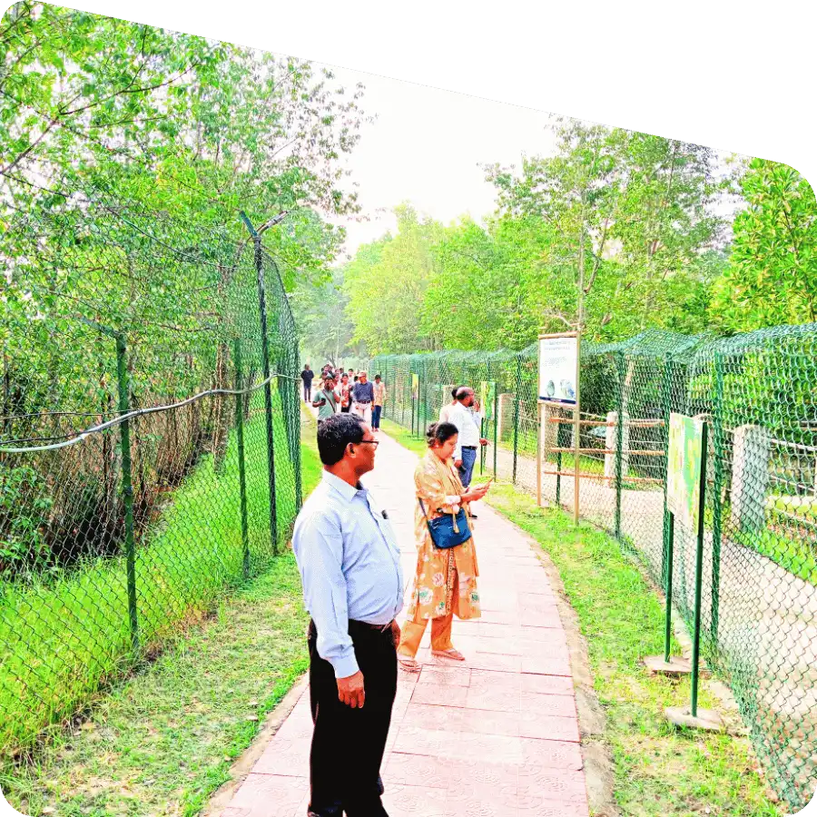 Sundarban package tour operator providing nature experience