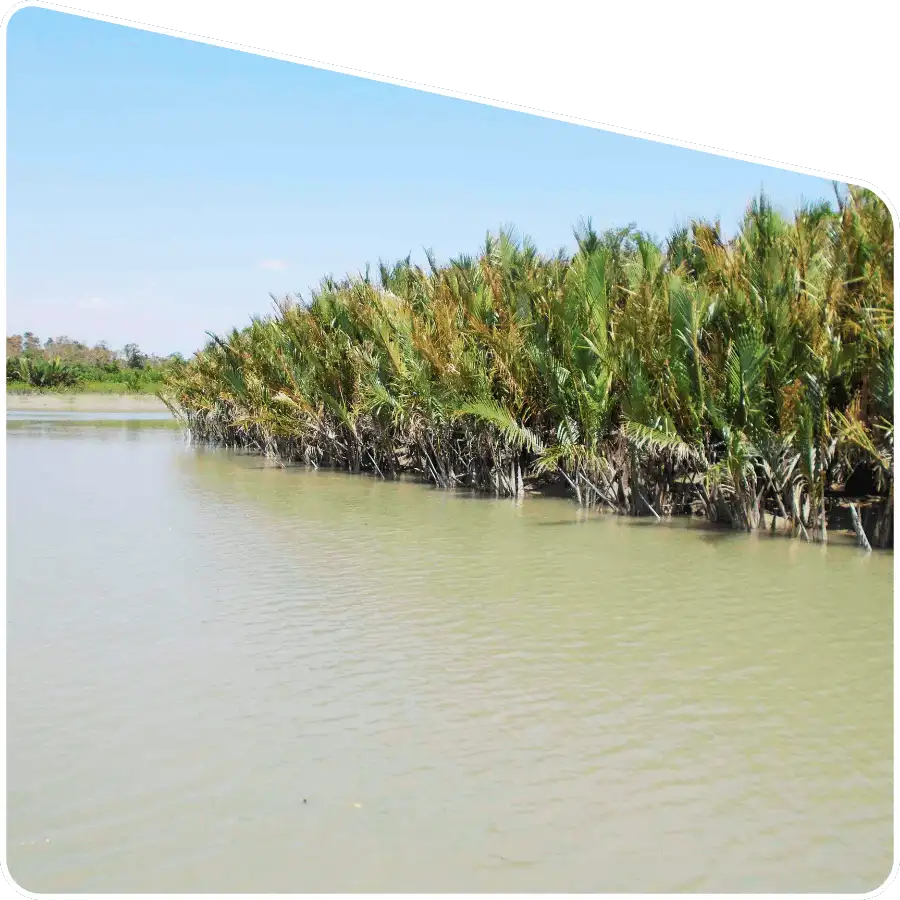 Sundarban package tour operator organizing nature tour