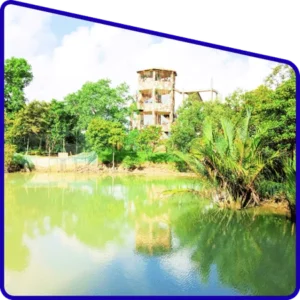 Sajnekhali watch tower visit during Sundarban Package Tour