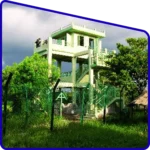 Sudhanyakhali watch tower wildlife view in Sundarban Package Tour