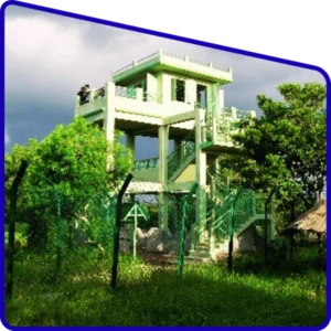 Sudhanyakhali watch tower wildlife view in Sundarban Package Tour