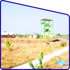 Sundarban Package Tour view from watch tower