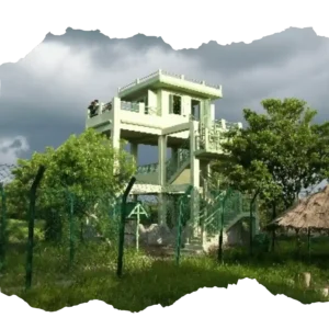 Watchtower safari during Hilsa Festival Tour at Sudhanyakhali