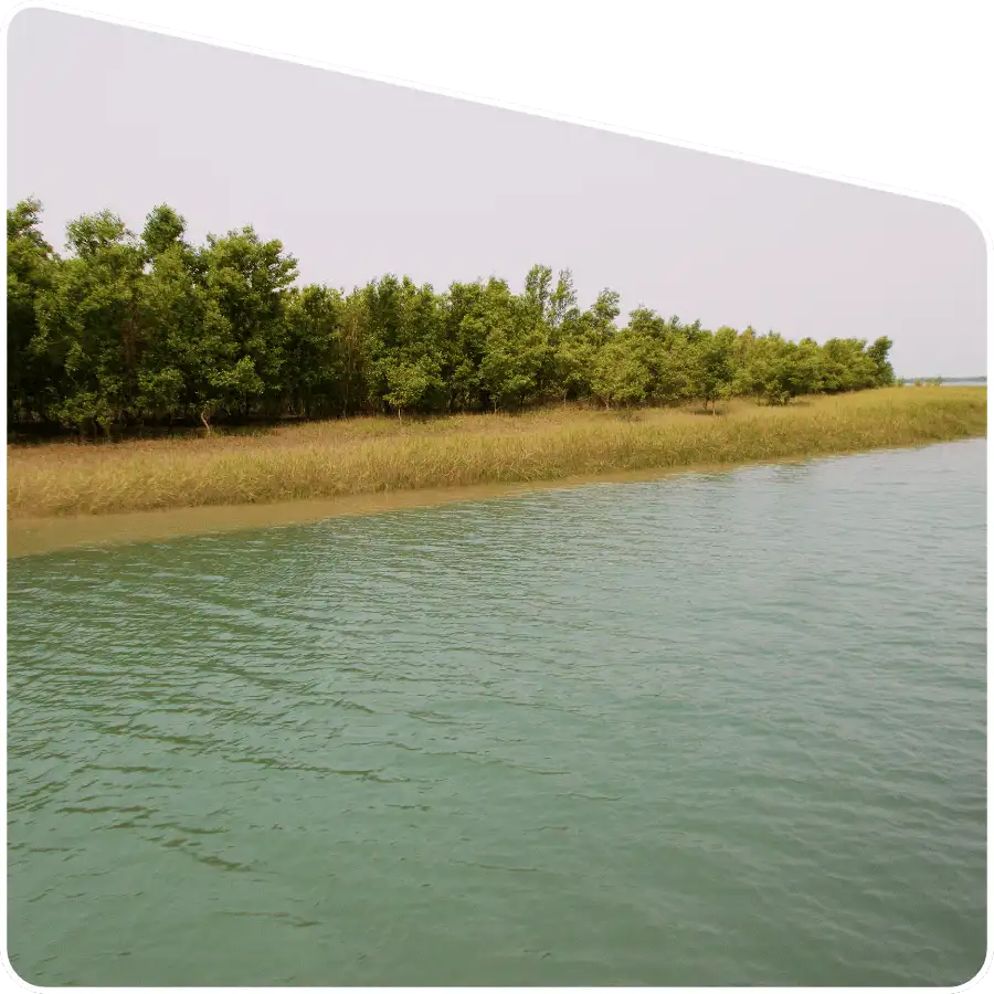 Sundarban tour operator exploring river delta landscape