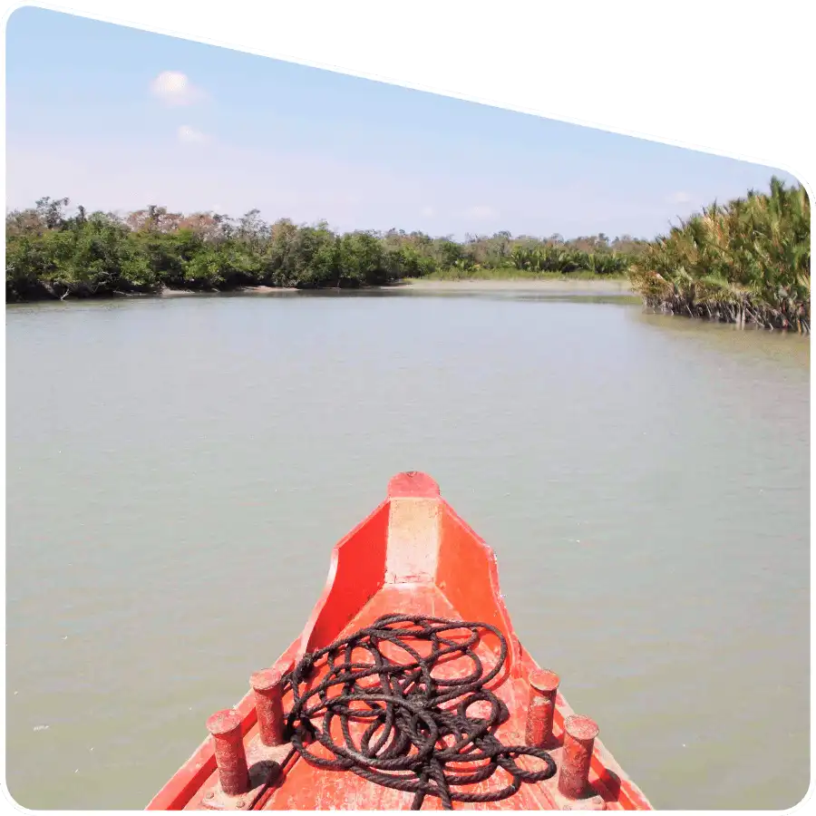 Sundarban tour operator eco friendly safari