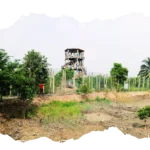 Watchtower safari during Hilsa Festival Tour