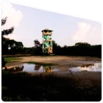 Watchtower for wildlife observation in Sundarban forest