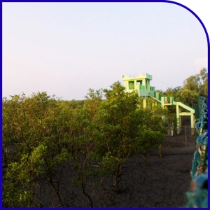 Dobanki canopy walk inside Sundarban mangrove forest
