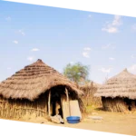 Rural life study during Sundarbans excursion