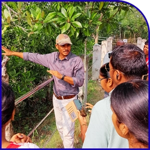 Professional guide leading safari tourists in Sundarban
