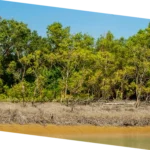 Island settlement study in Sundarbans