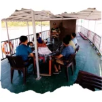 Mangrove river cruise during Hilsa Festival Tour