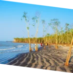 Mangrove delta landscape tour in Sundarbans