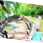 River delta field education in Sundarbans