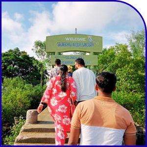 Sajinakhali tiger sighting area in Sundarban