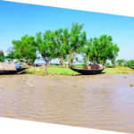 Sundarban delta geography educational excursion