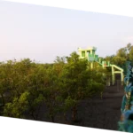Geographic view from Sundarbans watchtower