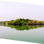 Riverine ecosystem geography excursion in Sundarbans