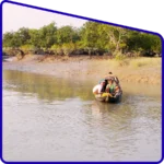 Traditional fishermen working in Sundarban waterways